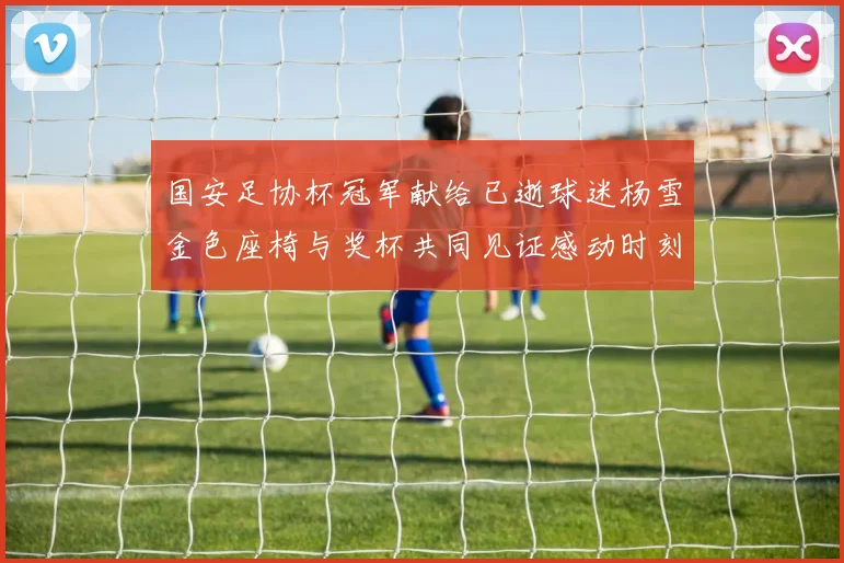 国安足协杯冠军献给已逝球迷杨雪金色座椅与奖杯共同见证感动时刻