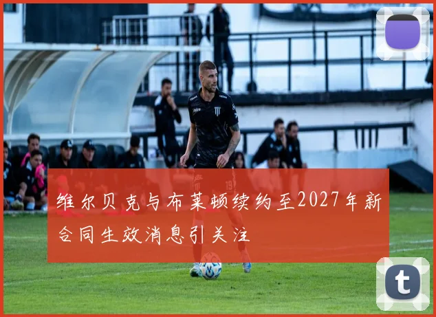 维尔贝克与布莱顿续约至2027年新合同生效消息引关注