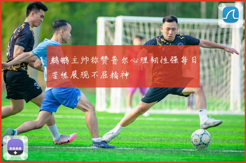 鹈鹕主帅称赞普尔心理韧性强每日苦练展现不屈精神