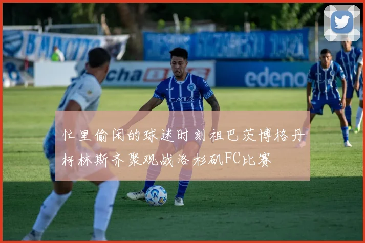 忙里偷闲的球迷时刻祖巴茨博格丹柯林斯齐聚观战洛杉矶FC比赛